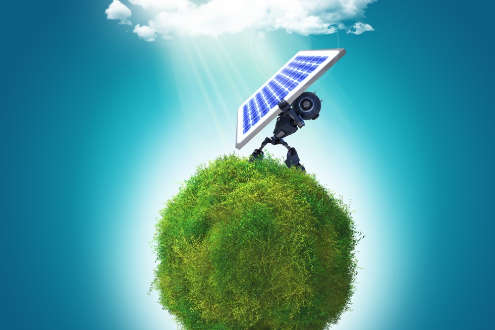 Solar Panel Installation: Revolutionizing Your Energy Bills in New Zealand